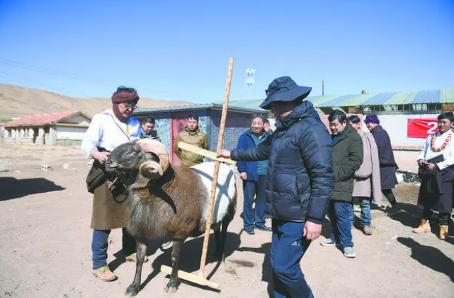 1683535684146901.png 1683535673302.png