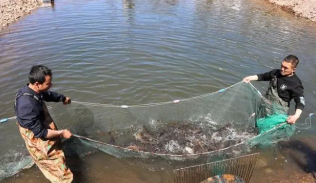 1683536592114011.png 1683536577556.png